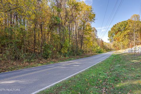 Photo of 22 Green Hill Rd, Dandridge, TN 37725 (MLS # 1321292)