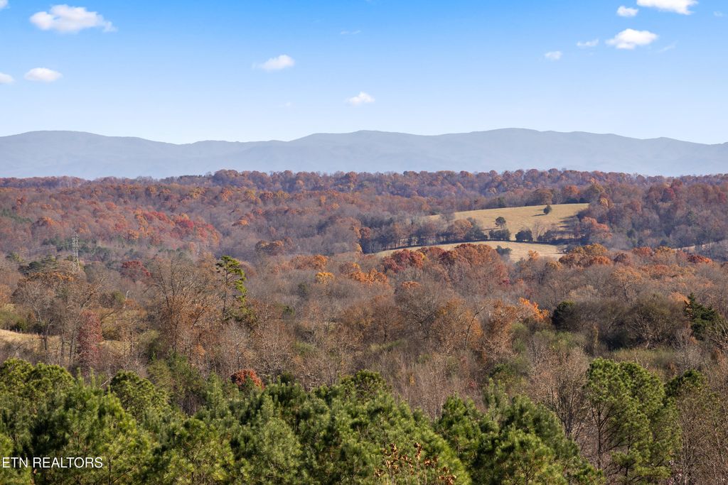 Photo of 1390 County Road 3051, Athens, TN 37303 (MLS # 1322342)