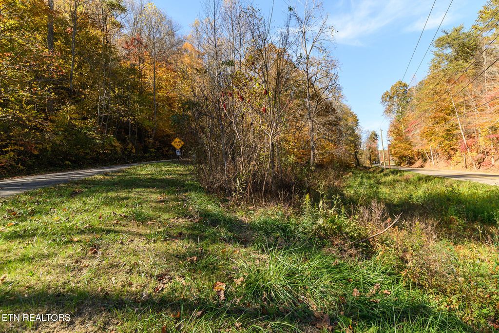 Photo of 1 Jones Cove Rd, Cosby, TN 37722 (MLS # 1321212)