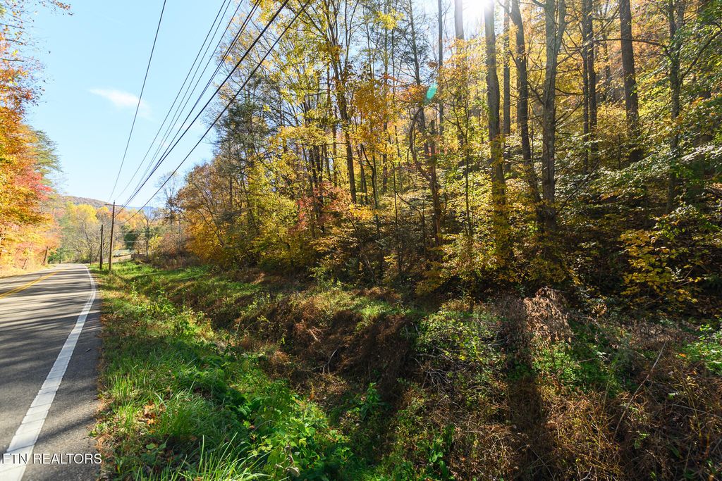 Photo of 1 Jones Cove Rd, Cosby, TN 37722 (MLS # 1321212)