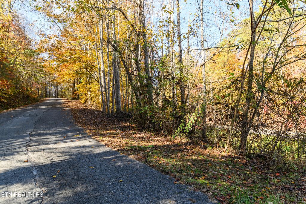 Photo of 1 Jones Cove Rd, Cosby, TN 37722 (MLS # 1321212)