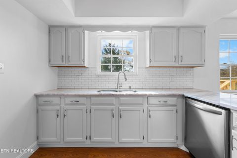 Tiny photo for 317 Indian Mound Circle, Jacksboro, TN 37757 (MLS # 1319927)