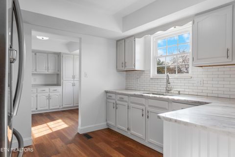 Tiny photo for 317 Indian Mound Circle, Jacksboro, TN 37757 (MLS # 1319927)