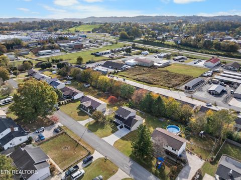 Tiny photo for 317 Indian Mound Circle, Jacksboro, TN 37757 (MLS # 1319927)