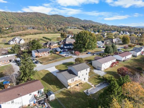 Tiny photo for 317 Indian Mound Circle, Jacksboro, TN 37757 (MLS # 1319927)