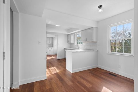 Tiny photo for 317 Indian Mound Circle, Jacksboro, TN 37757 (MLS # 1319927)