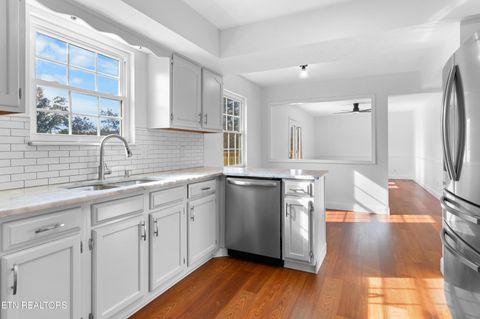 Tiny photo for 317 Indian Mound Circle, Jacksboro, TN 37757 (MLS # 1319927)