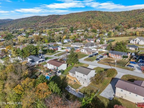 Tiny photo for 317 Indian Mound Circle, Jacksboro, TN 37757 (MLS # 1319927)