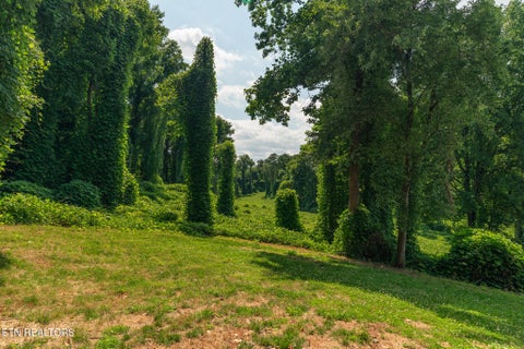 Tiny photo for 218 Jerry Lane, Knoxville, TN 37920 (MLS # 1345947)
