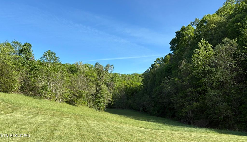 Photo of 485 Russell Brothers Rd, Sharps Chapel, TN 37866 (MLS # 1336549)
