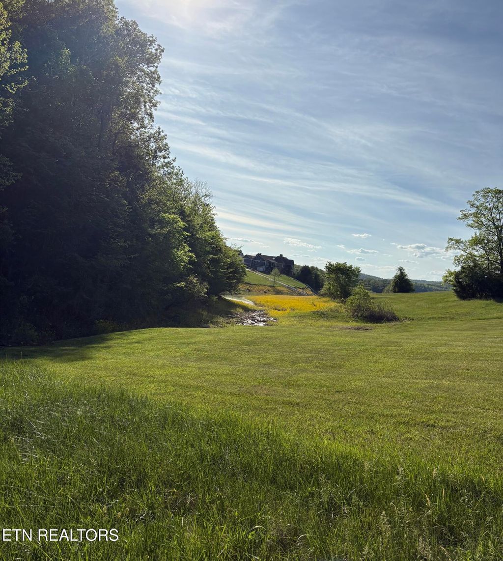 Photo of 485 Russell Brothers Rd, Sharps Chapel, TN 37866 (MLS # 1336549)
