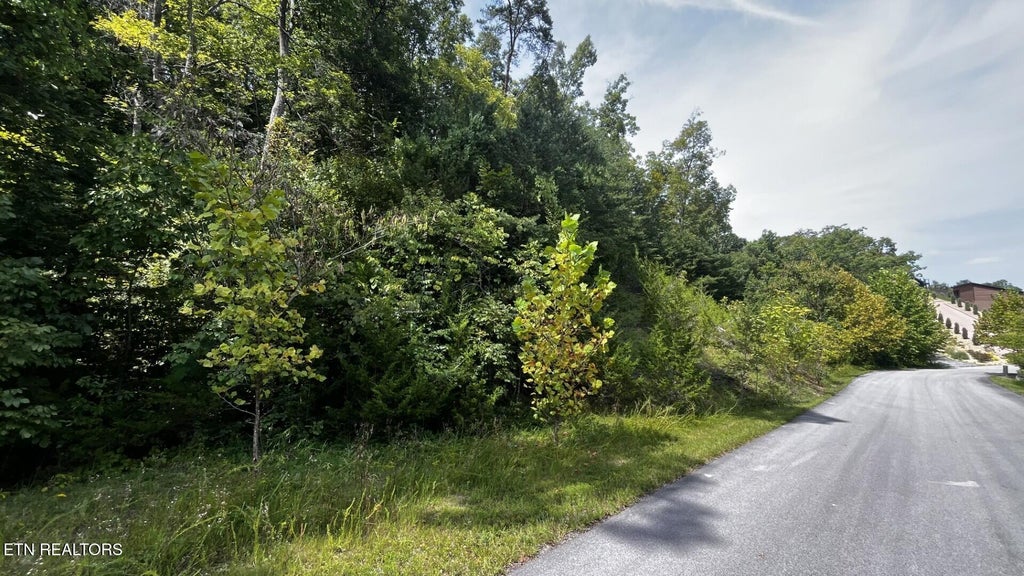 Photo of Emerald Pointe Blvd, Sevierville, TN 37876 (MLS # 1355194)