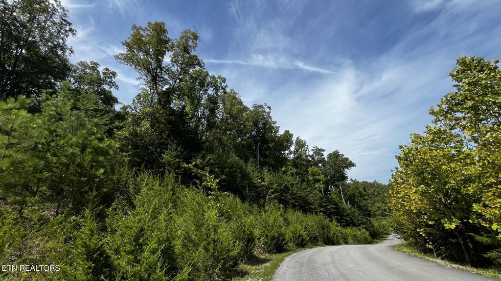 Photo of Emerald Pointe Blvd, Sevierville, TN 37876 (MLS # 1355194)