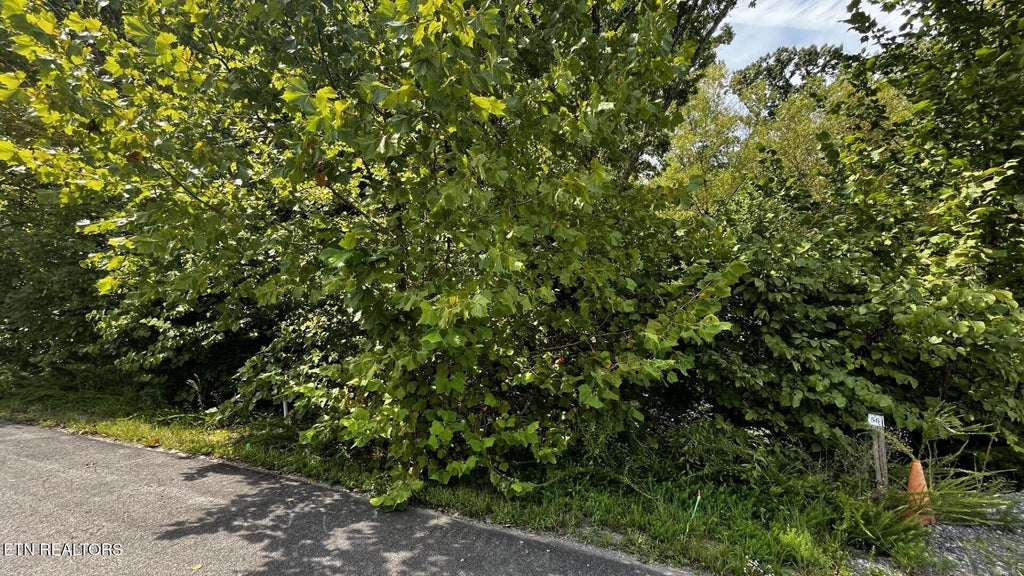 Photo of Emerald Pointe Blvd, Sevierville, TN 37876 (MLS # 1355194)