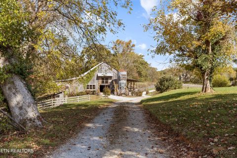 170 Lewis Lane Tellico Plains TN 37385