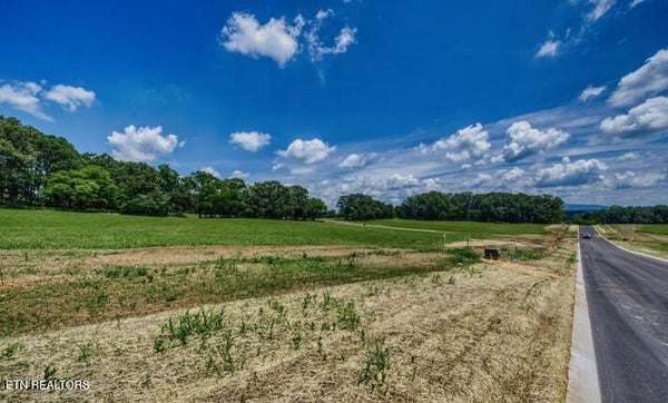 838 SOPHIE DR, GREENBACK, TN 37742 - Image a12855e9035d05aeb31bc334c656ac93/507366234