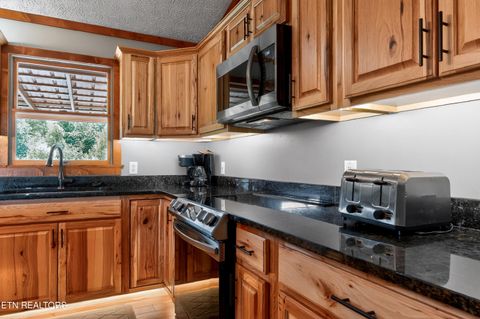 Tiny photo for 1445 Clabo Hollow Rd, Sevierville, TN 37876 (MLS # 1331287)