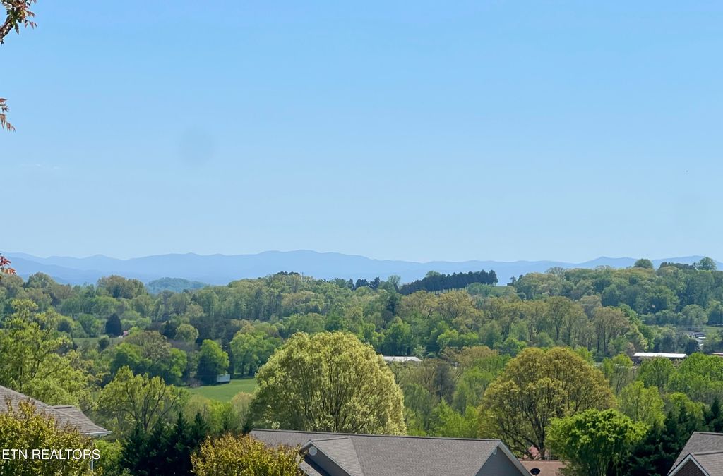 Photo of 111 Smoky View Lane, Madisonville, TN 37354 (MLS # 1336441)