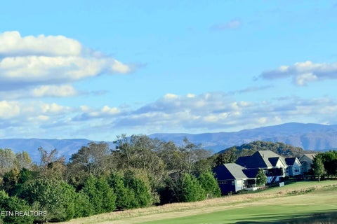 Tiny photo for 438 Goweli Tr, Vonore, TN 37885 (MLS # 1344608)