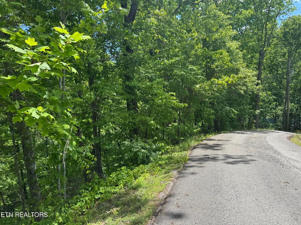 Photo of 1806 High View Court, Sevierville, TN 37876 (MLS # 1309681)