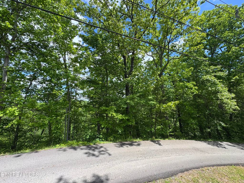 Photo of 1806 High View Court, Sevierville, TN 37876 (MLS # 1309681)