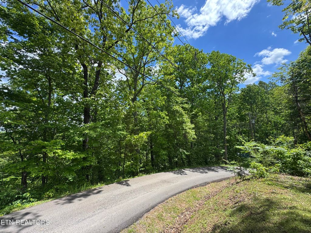 Photo of 1806 High View Court, Sevierville, TN 37876 (MLS # 1309681)