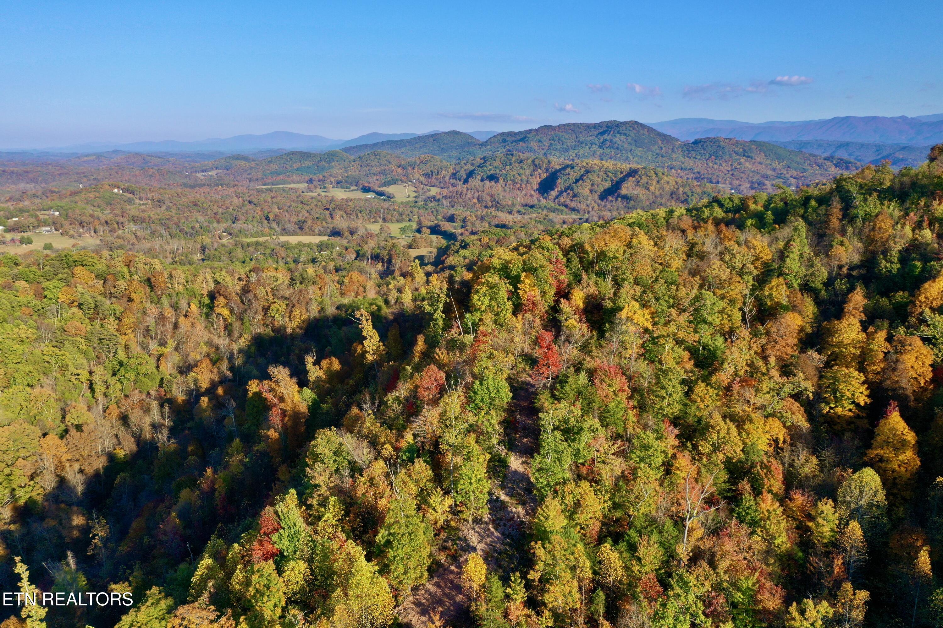 Laurel Creek Rd