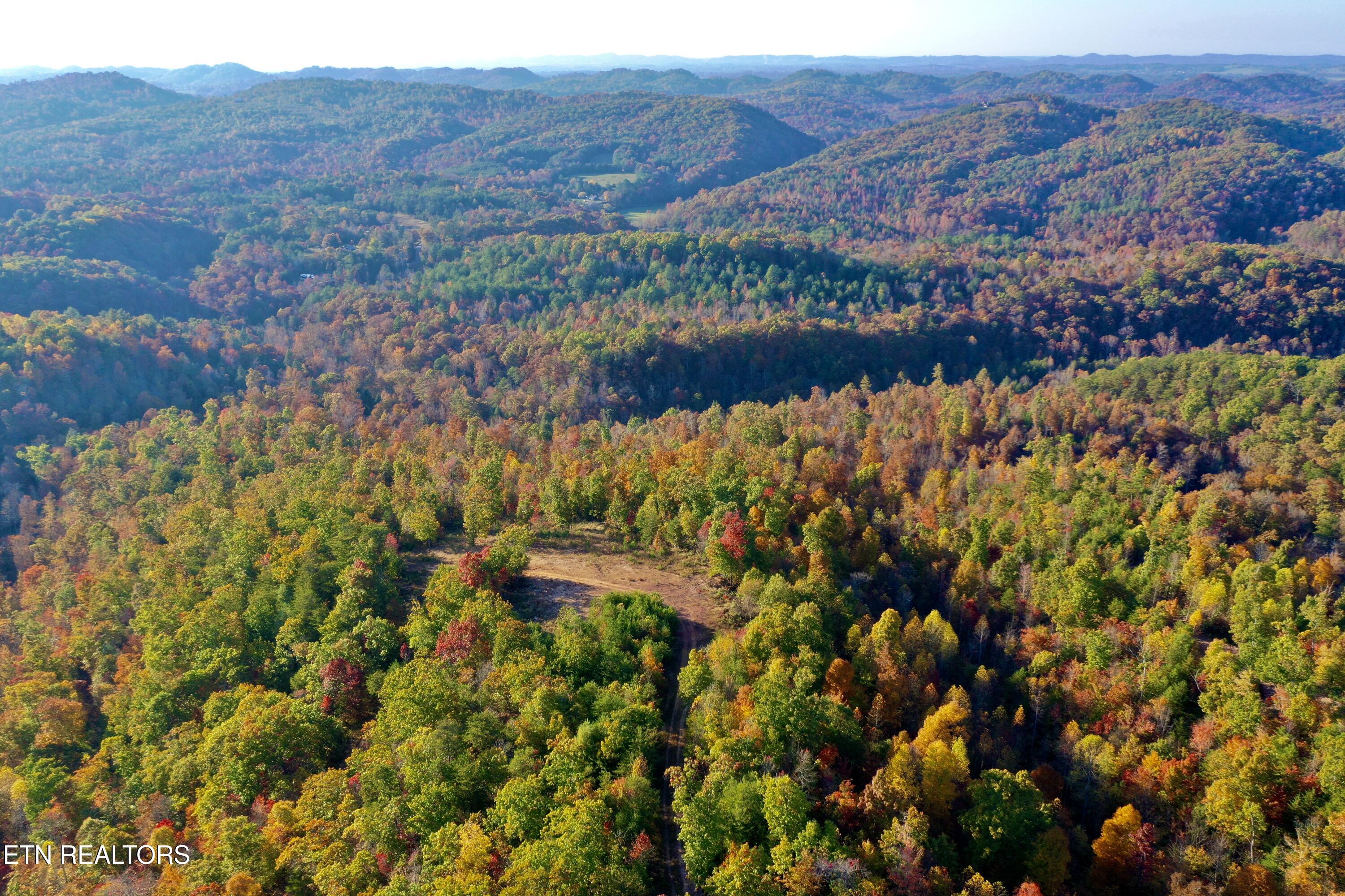 Laurel Creek Rd