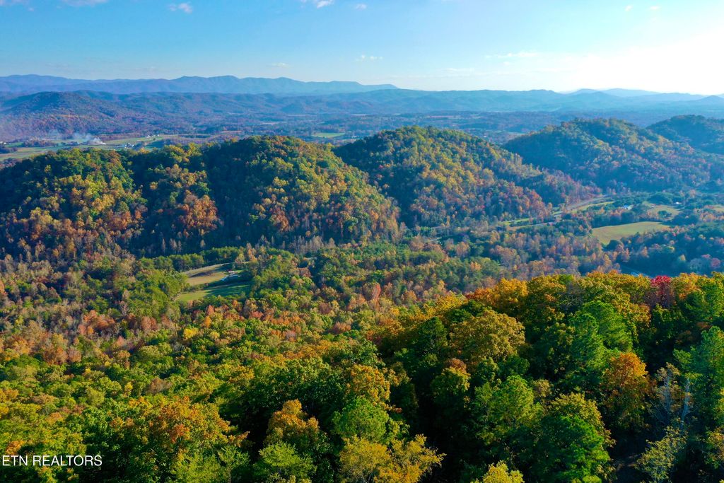 Photo of Laurel Creek Rd, Tellico Plains, TN 37385 (MLS # 1257224)