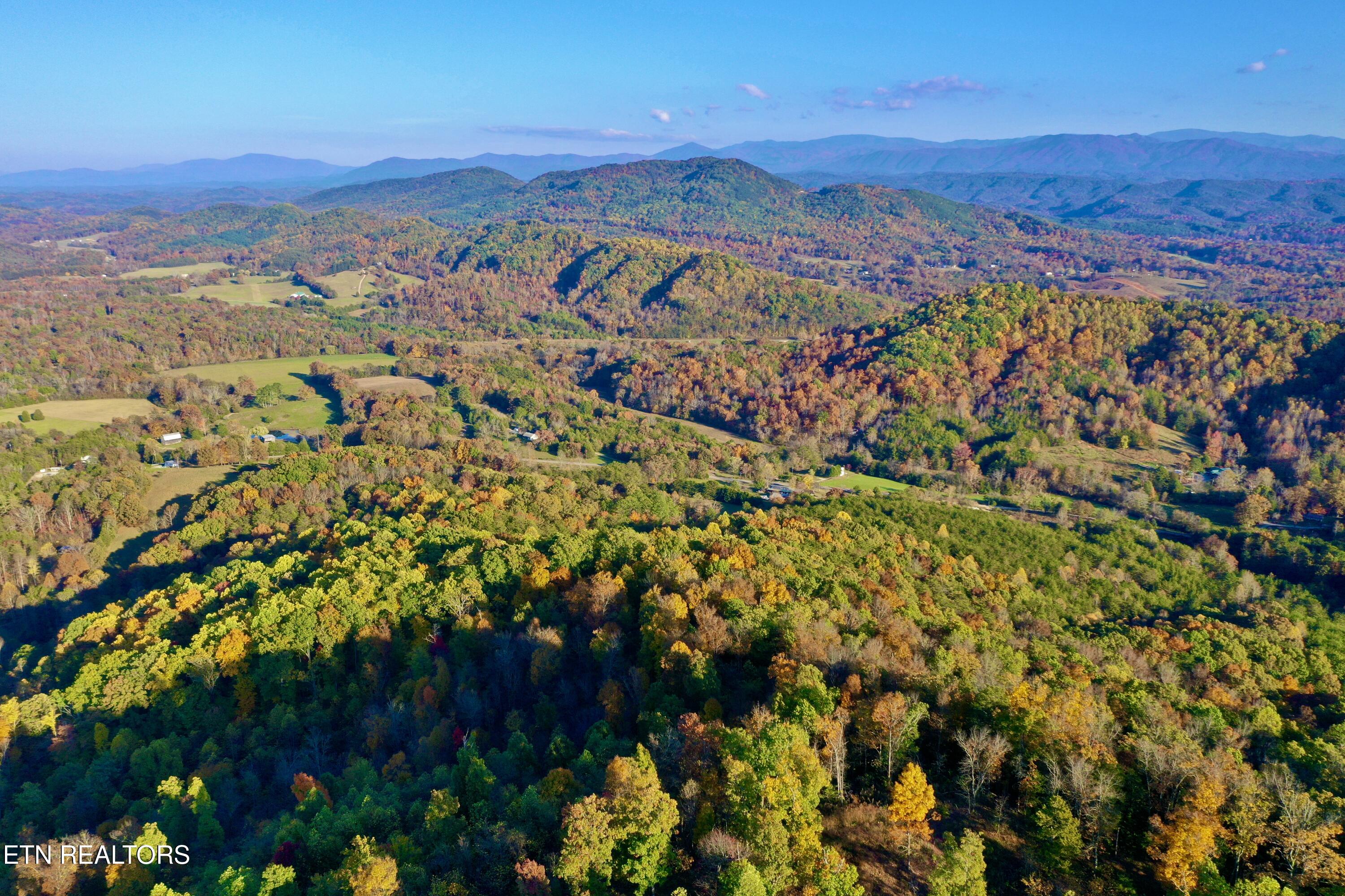 Laurel Creek Rd