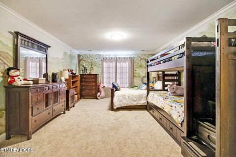 Tiny photo for 156 Morgan Fields Drive, Wartburg, TN 37887 (MLS # 1334600)