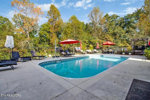 Tiny photo for 156 Morgan Fields Drive, Wartburg, TN 37887 (MLS # 1334600)