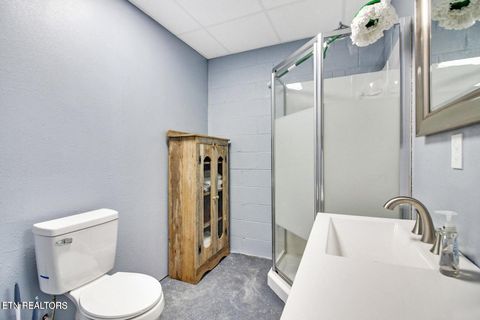 Tiny photo for 156 Morgan Fields Drive, Wartburg, TN 37887 (MLS # 1334600)