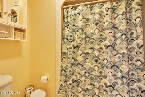 Tiny photo for 156 Morgan Fields Drive, Wartburg, TN 37887 (MLS # 1334600)