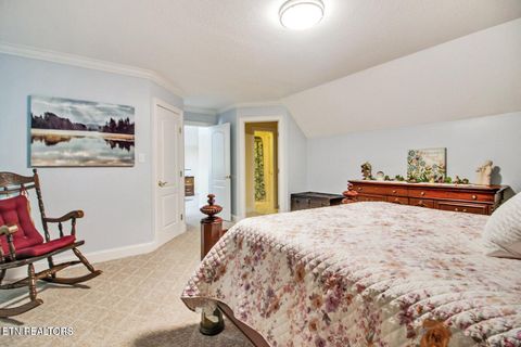 Tiny photo for 156 Morgan Fields Drive, Wartburg, TN 37887 (MLS # 1334600)