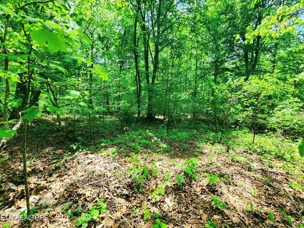 Photo of Evergreen Cove, Kingston, TN 37763 (MLS # 1311206)
