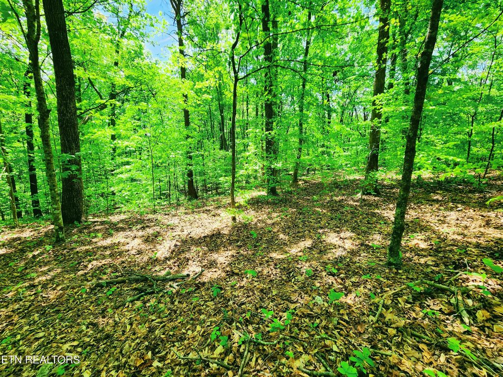 Photo of Evergreen Cove, Kingston, TN 37763 (MLS # 1311206)