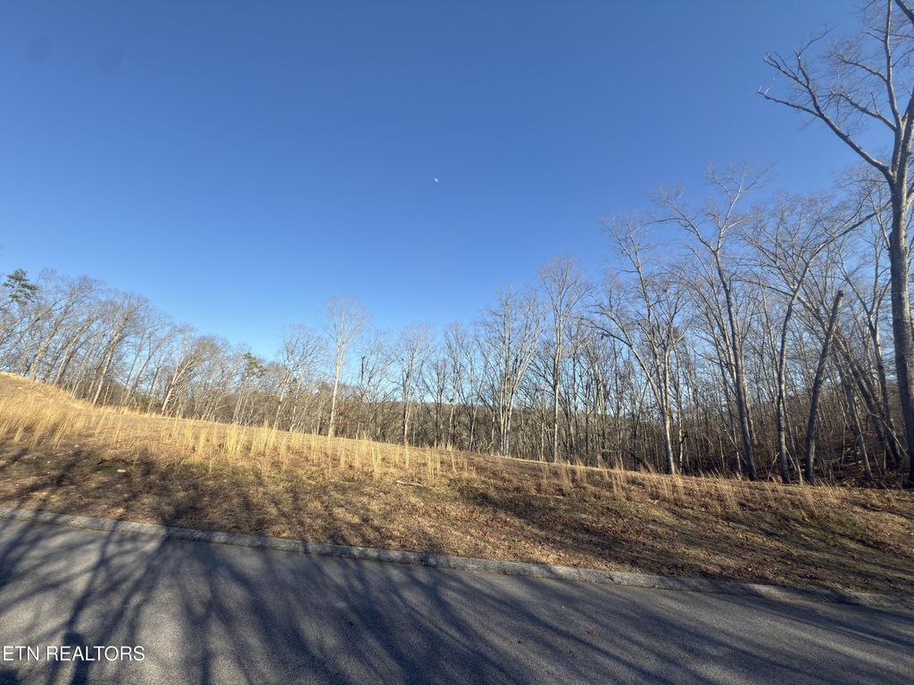 Photo of 1014 Northbridge Close, Kingston, TN 37763 (MLS # 1341603)