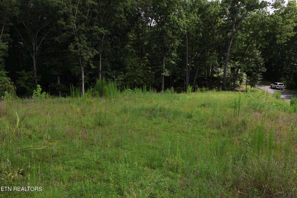 Photo of 1014 Northbridge Close, Kingston, TN 37763 (MLS # 1341603)