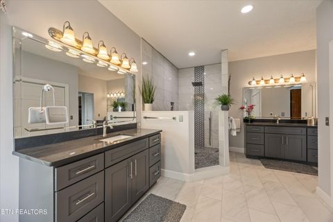 Tiny photo for 244 Championship Way, LaFollette, TN 37766 (MLS # 1339830)