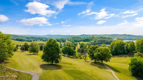 Tiny photo for 244 Championship Way, LaFollette, TN 37766 (MLS # 1339830)