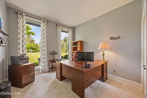 Tiny photo for 244 Championship Way, LaFollette, TN 37766 (MLS # 1339830)