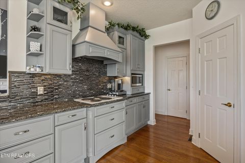 Tiny photo for 244 Championship Way, LaFollette, TN 37766 (MLS # 1339830)