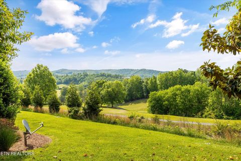 Tiny photo for 244 Championship Way, LaFollette, TN 37766 (MLS # 1339830)