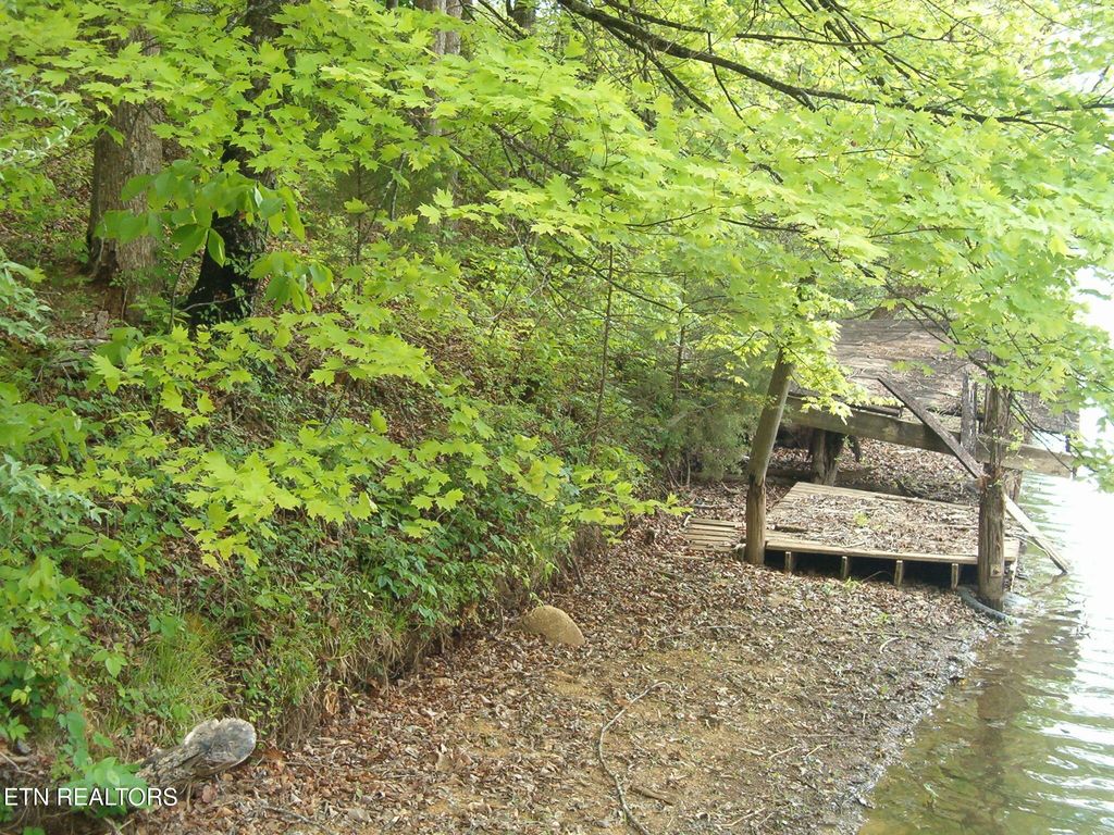 Photo of Centers Patton Rd, Harriman, TN 37748 (MLS # 1338446)