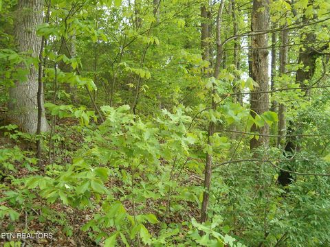 Tiny photo for Centers Patton Rd, Harriman, TN 37748 (MLS # 1338446)