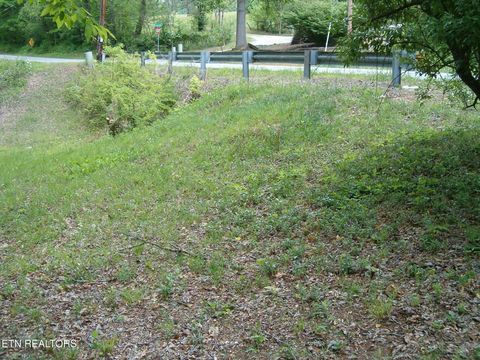 Tiny photo for Centers Patton Rd, Harriman, TN 37748 (MLS # 1338446)