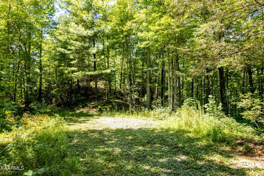 Photo of 9 Christa Trail, Walland, TN 37886 (MLS # 1227287)