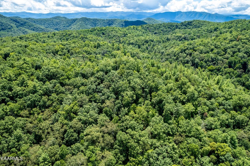 Photo of 9 Christa Trail, Walland, TN 37886 (MLS # 1227287)