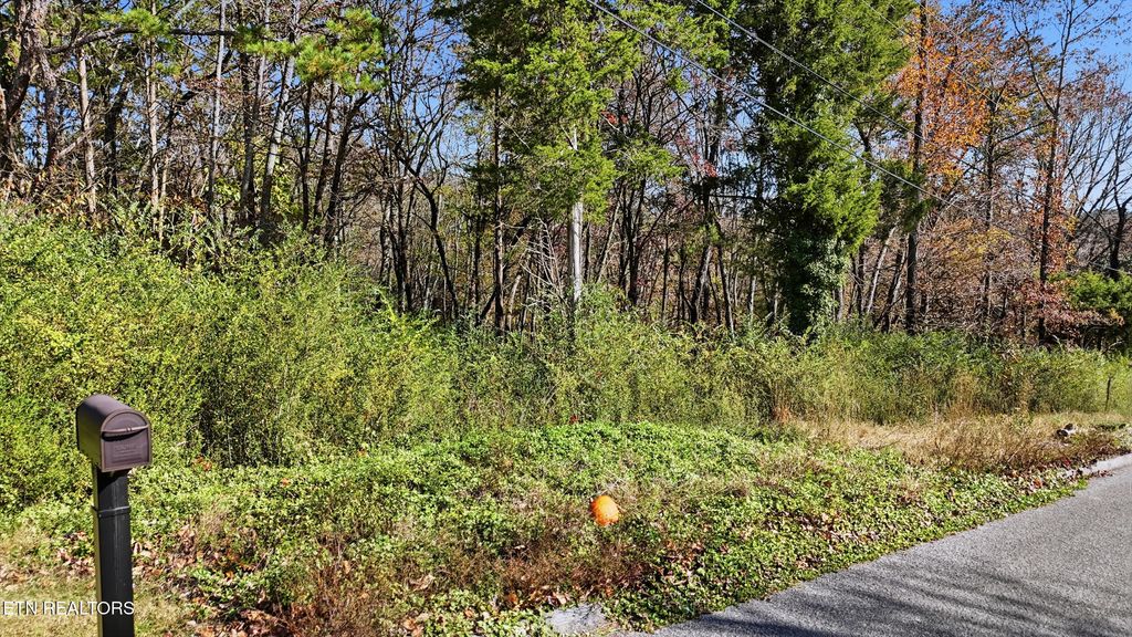 Photo of 0 Sierra Drive, Dayton, TN 37321 (MLS # 1328707)